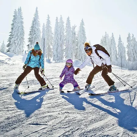 Chalet Grileb 1 *